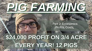 Making $27k a Year from $3500 and Under a Acre Farming Pigs Profit Part 2