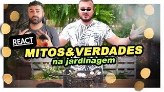 MITOS E VERDADES na Jardinagem | Descubra o que você pode ou não fazer jardim | Murilo Soares REACT