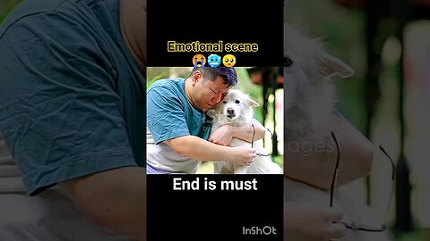 Emotional scene dog😱😭🥺 must watch | ua58sb #ua58sb #animals #dog #emotional