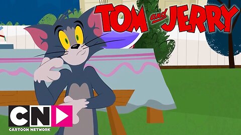 Tom and Jerry in English|| Tom and Jerry ka video||