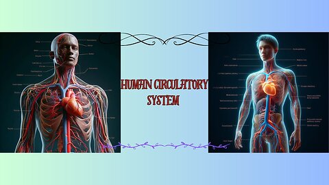 A Journey Through the Human Circulatory System - 3 Minutes of Discovery