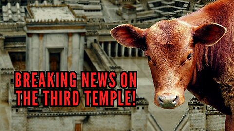 BREAKING! Third Temple & Red Heifer News! | Mondo Gonzales | TSR 327