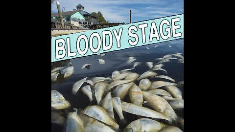 BLOODY STAGE