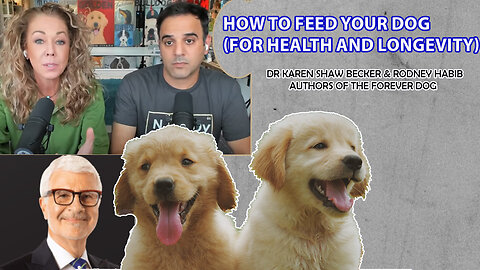 How to feed your dog (for health and longevity) | HealthScience