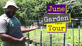 Full Garden Tour | June 2021