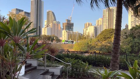 Gold Coast Broadbeach Skyline