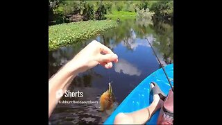 Florida Fishing from a kayak