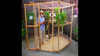 Make cheap bird cage for my wife | Complete guide | Bird cage designs