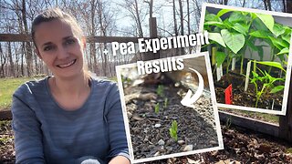 Seedlings are Growing! (Plus a few tips for seedling success)