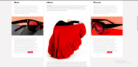 The Red Collection - Web Development