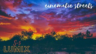 Discover Cinematic Street Magic | Short Film Made with LUMIX S-5
