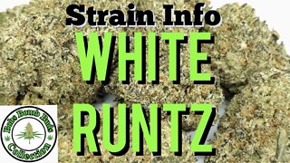 White Runtz, Cannabis Strain. BC Bud Supply Review