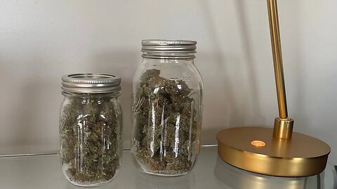 Final Trim, Wet weight (8.5oz), and into the @cannatrolsolutions for Dry & Cure.