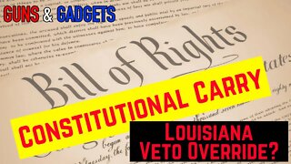 Take Action! Help Gun Owners of America Override Louisiana's Constitutional Carry Veto