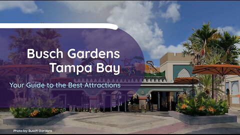 Busch Gardens Tampa Bay: Your Guide to the Best Attractions | Stufftodo.us