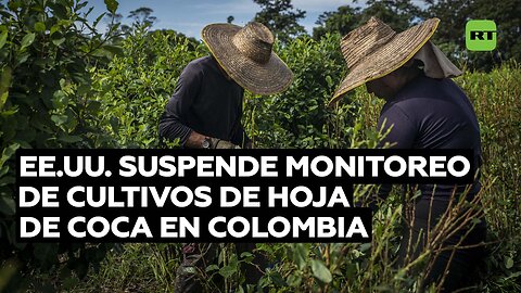 EE.UU. suspende el monitoreo satelital de cultivos de hoja de coca en Colombia