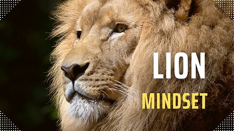 Lion Mindset.motivational speech
