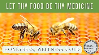 Let Thy Food Be Thy Medicine - Honey