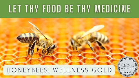 Let Thy Food Be Thy Medicine - Honey