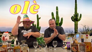 Michelob Organic Seltzer Review! 🌵💃