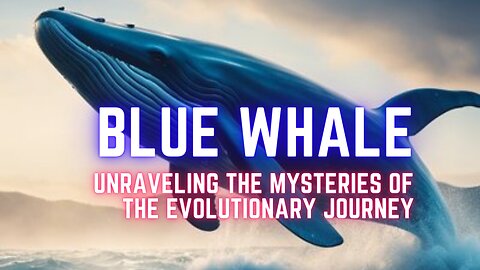 Blue Whale: Unraveling the Mysteries of the Evolutionary Journey