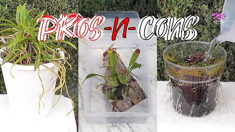 10 Different Methods of Watering Orchids Pros Cons Environmental Conditions Set Ups #ninjaorchids