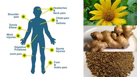 6 Herbal Remedies for Natural Pain Relief