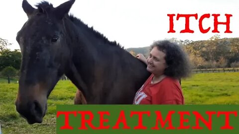 Review of Itch Treatment Success, after months of stubborn itch and now the cooler winter months