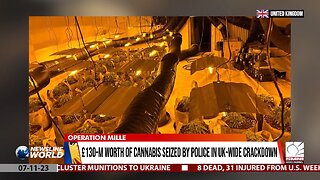 £130-M worth of cannabis seized by police in UK-wide crackdown
