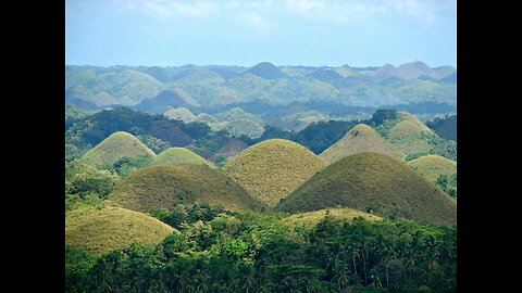 Ultimate Bohol Travel Guide: Explore Paradise | Now I Know