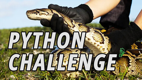 2022 Florida Python Challenge winner takes home $10,000 for bagging 28 snakes