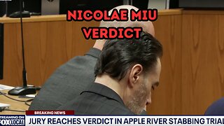 UPDATE Apple River Stabbing Trial | Nicolae Miu's Verdict Read in Court