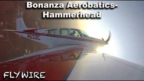 Bonanza Aerobatics Hammerhead