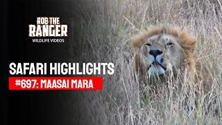 Safari Highlights #697: 23 July 2022 | Lalashe Maasai Mara | Latest Wildlife Sightings