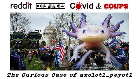 Reddit, Conspiracies, COVID & Coups - The Curious Case of axolotl_peyotl