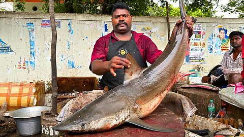 50 kg SHARK FISH CUTTING | SPEED SELVAM | VERY RARE BIG SHARK FISH CUTTING |