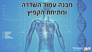 מבנה עמוד השדרה ומתיחת קפיץ