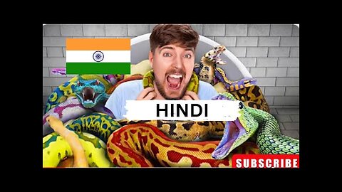 Would You Sit In Snakes For $10,000? In Hindi ! New MrBeast Hindi ! Mrbeast Hind