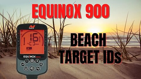 Minelab Equinox 900 Beach Targets