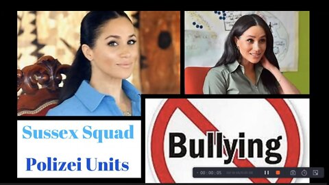 Sussex Squad Bullying and Harassment #meghanmarkle #sussessquad