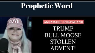Prophetic Word: Trump - Bull Moose - Stollen - Advent! 11/02/2022