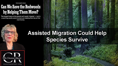 Assisted Migration Could Help Species Survive