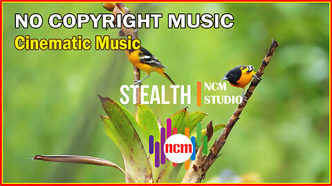 Stealth - Aakash Gandhi: Cinematic Music, Funky Music, Revenge Music, Thrill Music, Action Music