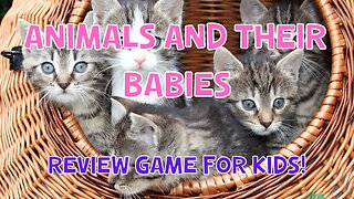 Animals And Their Babies | Review Quiz For Kids | 4K