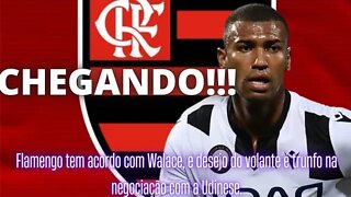 Flamengo tem acordo com Walace, e desejo do volante é trunfo na negociação com a Udinese.