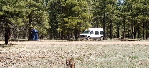 Kaibab National Forest, Grand Canyon. Coconino Rim Road dispersed campsite review