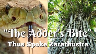 "The Adder's Bite" - Thus Spoke Zarathustra