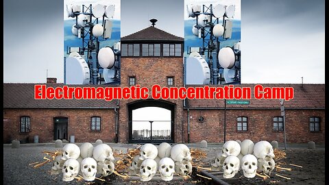 Welcome to Your Electromagnetic Concentration Camp - Targeted Individuals and Everyone Else