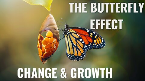 Steve Jobs' Wisdom: Embracing Change for Growth & The Butterfly Effect