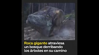 Captan una enorme roca cayendo y derribando todo árbol a su paso